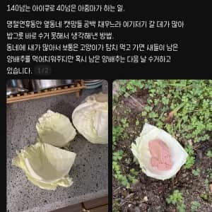 아이큐 140 캣맘 밥그릇 근황
