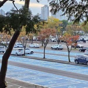 서울대공원 주차장, 무개념 주차 모습