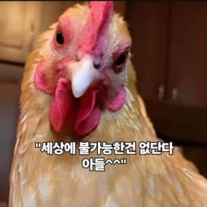 "엄마! 전 커서 공룡이 되고 싶어요!"