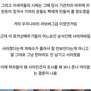 멸종 원인이 가장 골때리는 곤충 원탑