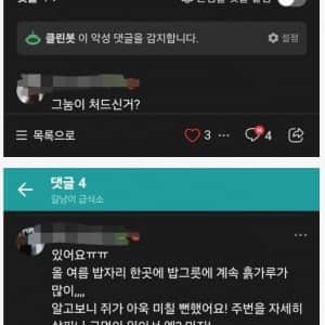 캣맘 때문에 쥐가 늘어났다는 소리에 빡친 캣맘