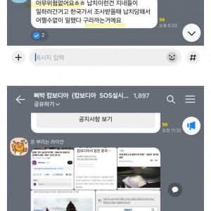 캄보디아 교민 단톡방 근황