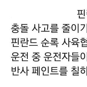 운전자 안전위해 순록뿔에 반사 페인트를 바른 결과 