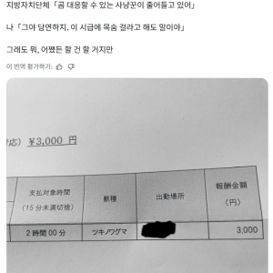 요즘 일본에서 곰 사냥꾼이 자꾸 사라지는 이유
