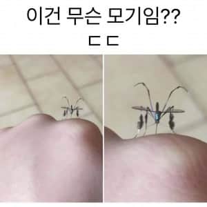 (약혐) 은근 신기하게 생겼다는 일렉트로닉 모기 