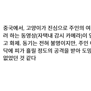 (혐주의) 주인을 죽이려고 하는 고양이