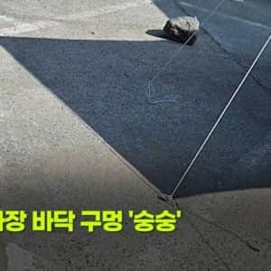 '한국 사람들 맞아?' 캠핑족 논란