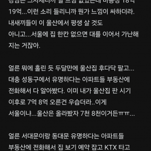 서울 아파트 패닉매수 근황