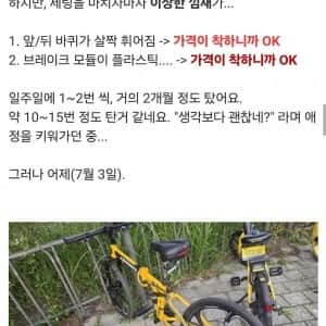 알리에서 자전거 산 뽐뿌인 대참사