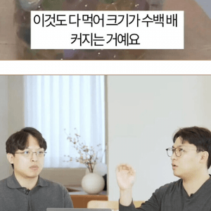위험하다는 워터비즈 장난감