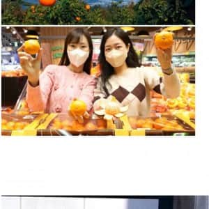제주도 전체 수출품목 1위 ㄷ