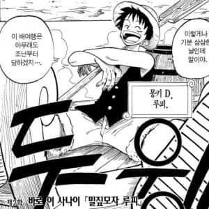 원피스 초창기 루피한테 있었던 소년미