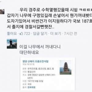 경주에서 나무 구멍에 손 넣었다 국보 꺼낸 사람 
