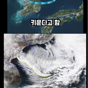 일본 북부지방 폭설의 원인