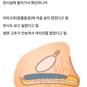 80년대 성폭행 무죄썰 레전드 ㄷ