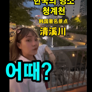 요즘 중국 단체 관광객들이 청계천 와서 하는짓