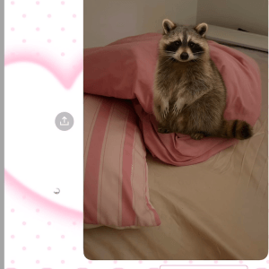 AI로 엄마한테 집에 너구리 들어왔다고 속이기