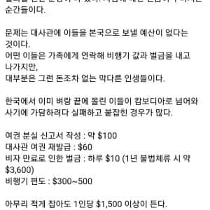 한 캄보디아 교민의 이번 이슈에 대한 생각 
