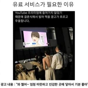 유튜브 프리미엄 구독 안한 대참사