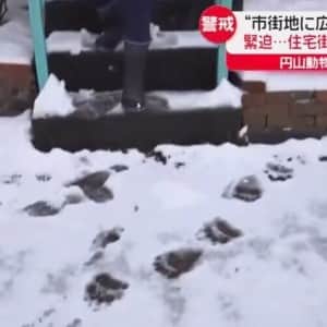 일본 삿포로 주택가 근황 