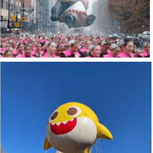 미국 추수감사절 근황
