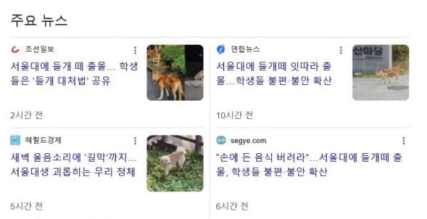 1000130753.webp.ren.jpg 보신탕집 폐업 여파, 서울대 들개 피해 속출