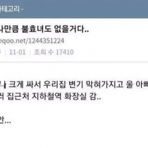 어느 커뮤니티 일상게시판의 불효녀