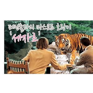 옛날 부산 롯데호텔에 호랑이 살았다고 하면 아무도 안믿음