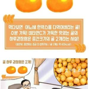 귤은 하루에 두 개씩만 드세요