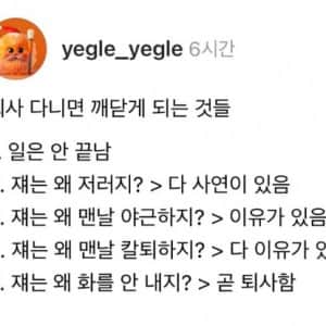회사 다니면 깨닫는 것