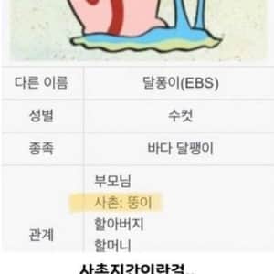 의외로 사촌지간