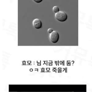 많은 사람들이 제과를 배우다 포기하는 이유