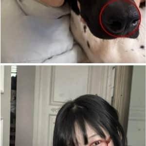 개논 카메라