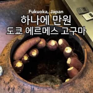 고구마 하나에 만 원.. 일본 ‭에르메스 ‭고구마