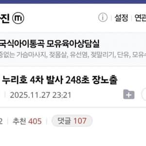 11시간 동안 운전해서 찍은 누리호 사진 
