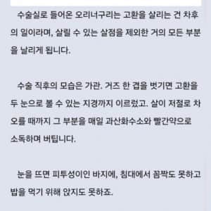 고환이 부풀어 수술을 받은 작가의 글