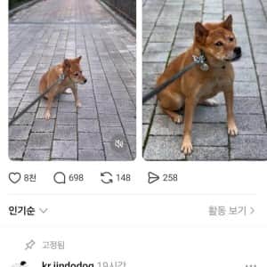 산책 중 급똥 터진 견주