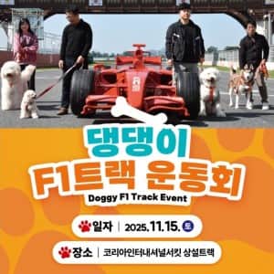 2000억 적자 영암 F1 근황 