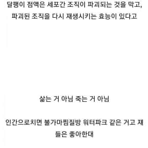 화장품 달팽이 점액 추출 장면