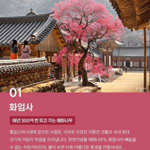 미국 CBS가 선정한 한국 10대 사찰 