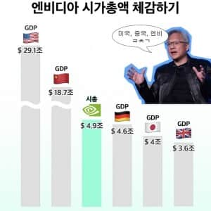 엔비디아 시가총액 체감  