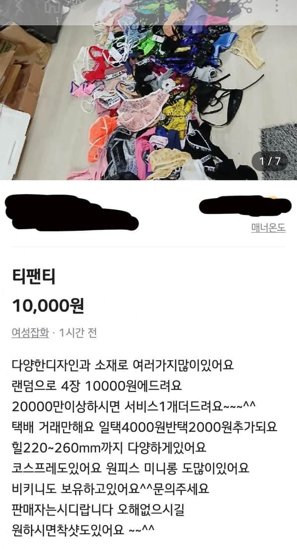 Internet_20251105_204134.jpeg 당근 티팬티 판매녀