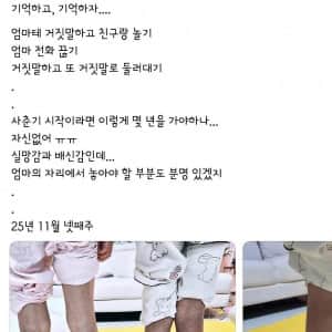 SNS 아동학대 인증 논란