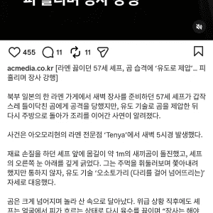 라멘 끓이던 57세 쉐프 라멘끓이다가 곰에 습격
