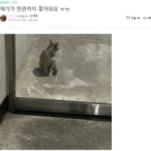 의외로 캣맘들이 두려워한다는 것