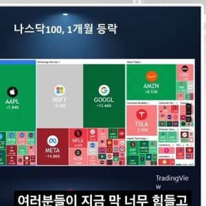 미국 주식 떨어졌다고 난리난 개미들이 이해안되는 전문가
