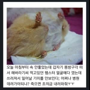 여자 방귀의 놀라운 살상력