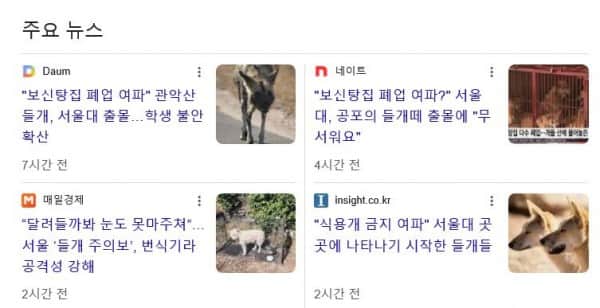 1000130754.webp.ren.jpg 보신탕집 폐업 여파, 서울대 들개 피해 속출