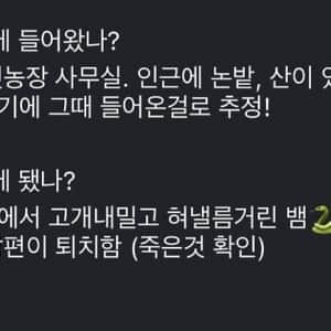 (뱀 주의) 사무실에 들어온 살모사 