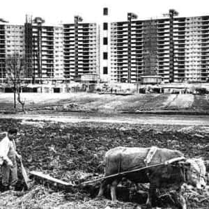 그 시절.. 1970년대 압구정 풍경